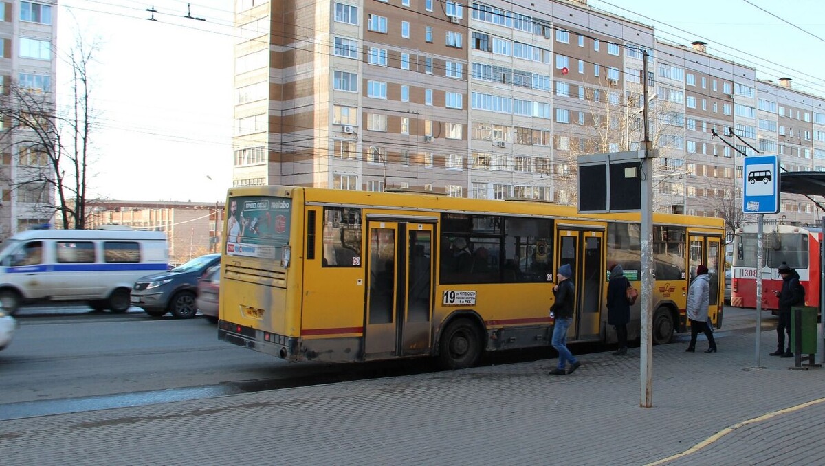   udm-info.ru