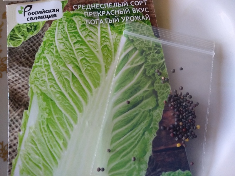 Семян много