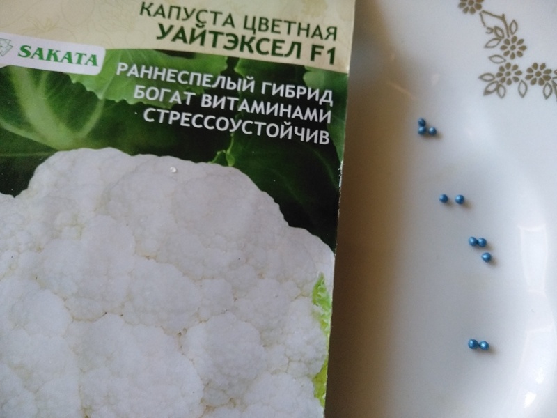 Семена цветной капусты. Листайте