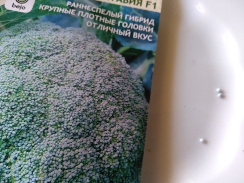 Брокколи
