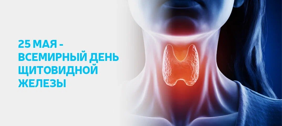 Маленький дирижер организма: день щитовидной железы