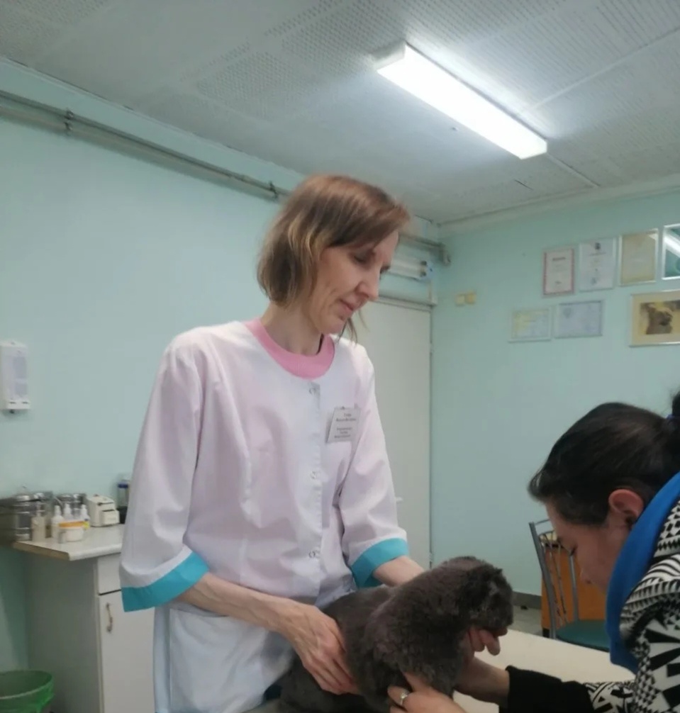 Прием пушистого пациента с ХБП ведет ведущий специалист нашей клиники, ветеринарный врач-терапевт, гомеопат, УЗИ-диагност Уткина Наталья Викторовна. Стаж работы — 27 лет.