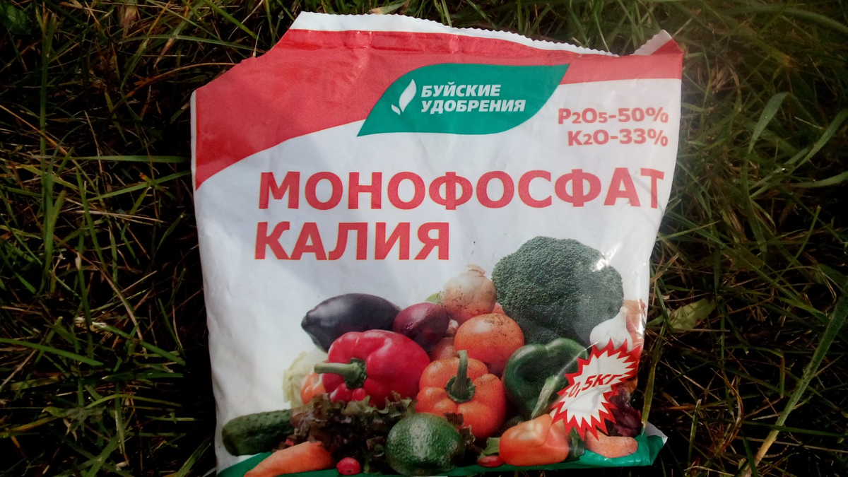 Моё фото 2015 или 2016 года 
