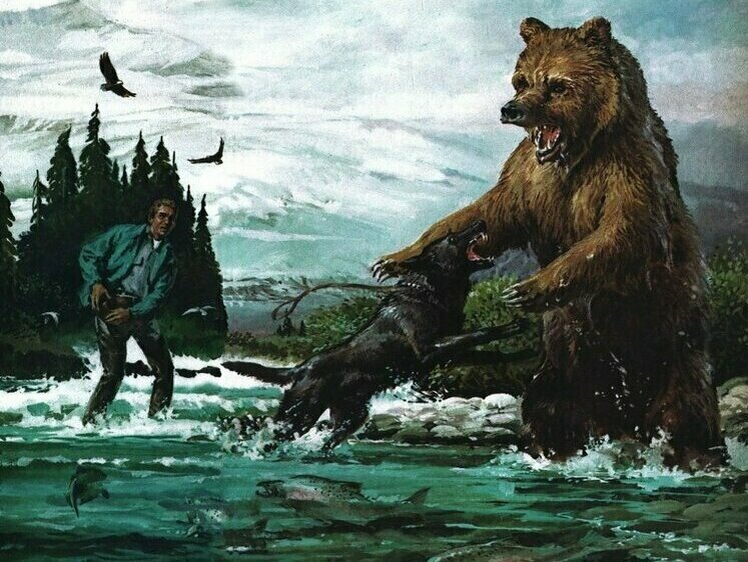     Иллюстрация Ричарда Амундсена / Outdoor Life