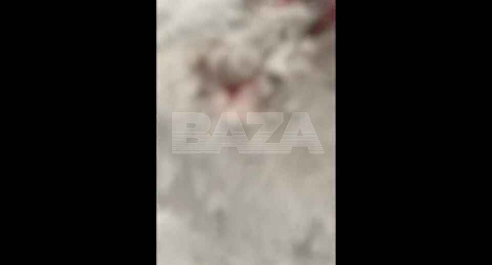    Baza / Скриншот видео