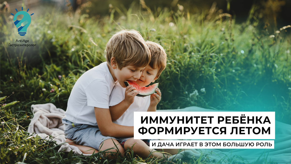 лето на даче