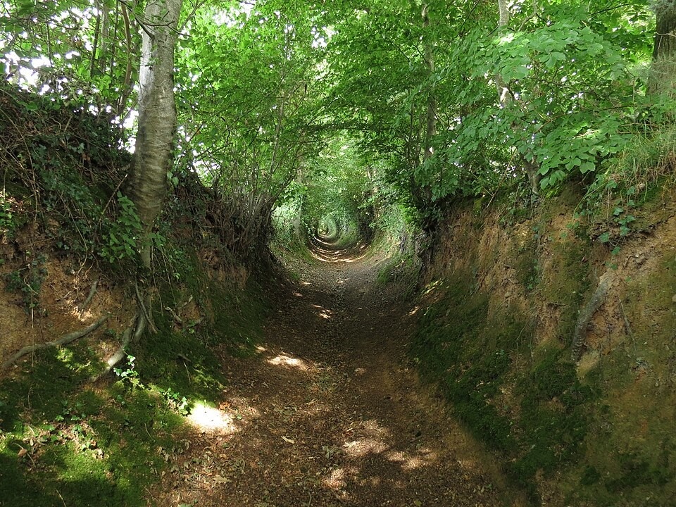    Полая дорога в Ла-Моф, Манш, ФранцияИсточник: wikimedia.org