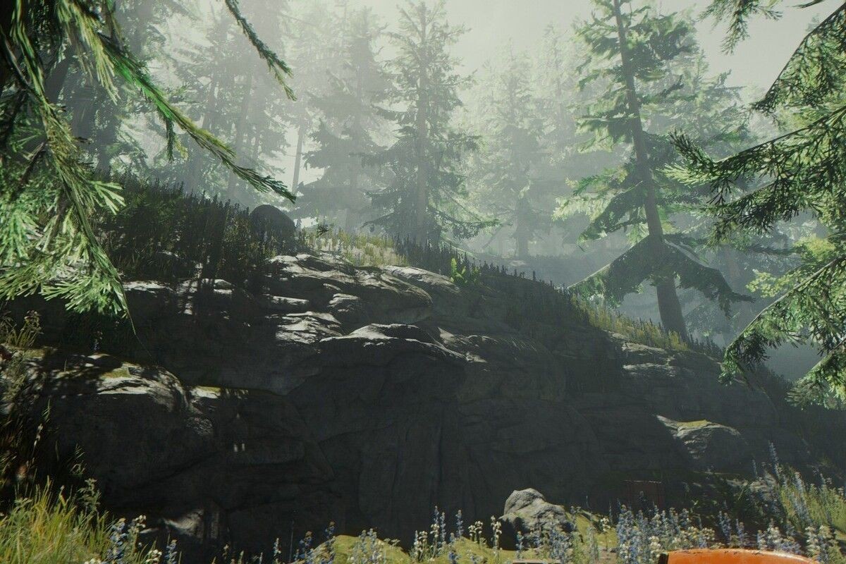 Скриншот из The Forest. Источник: Endnight Games📷
