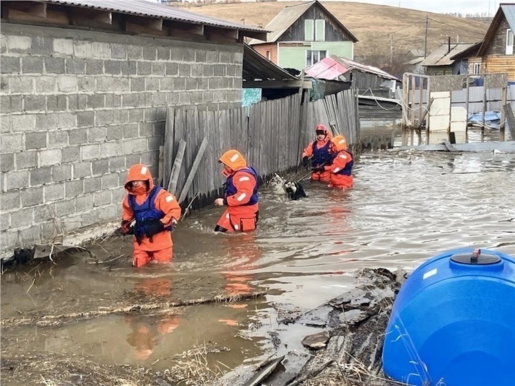     Фото: КГКУ "Спасатель"