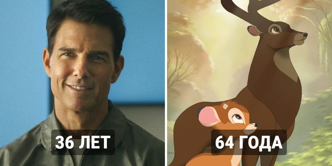 15 сиквелов фильмов и мультфильмов, выхода которых зрители ждали рекордное количество лет
