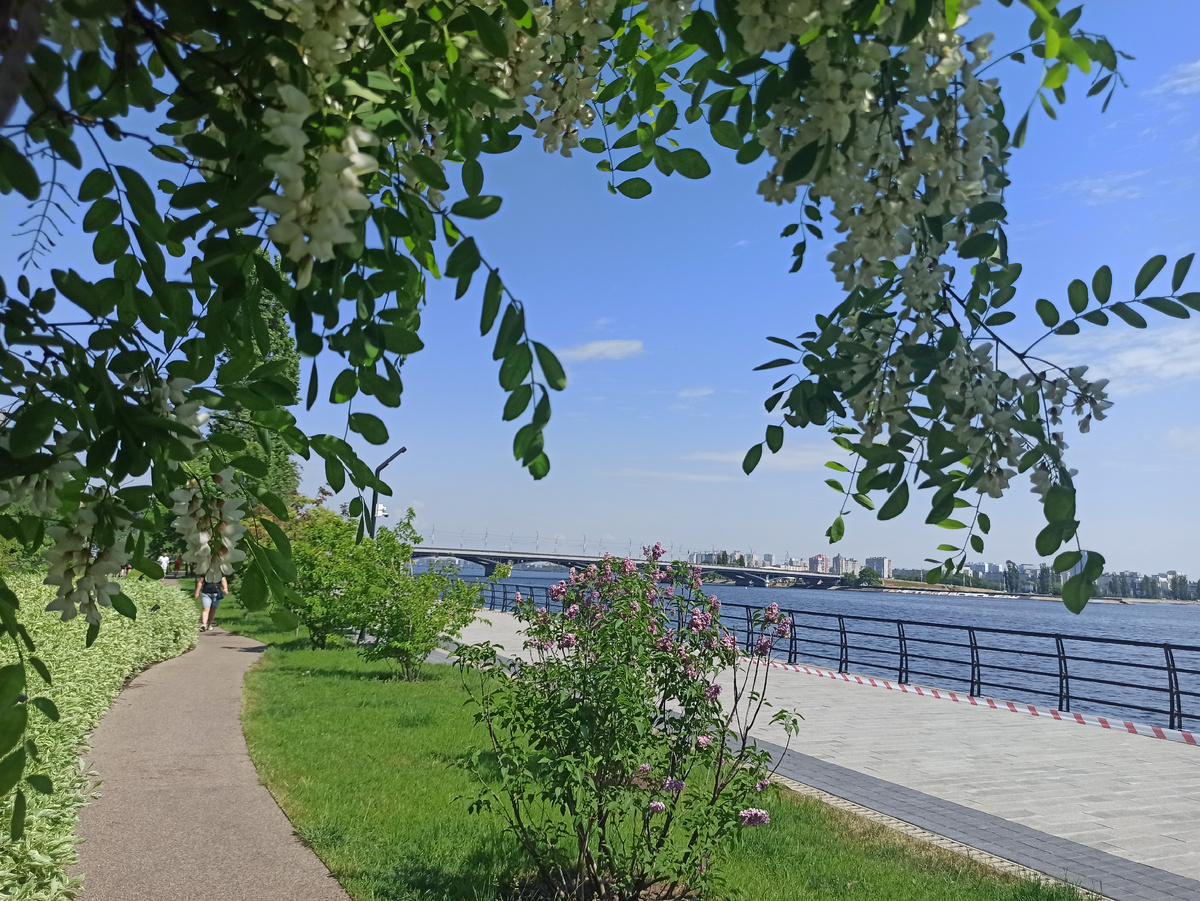 Воронеж. Петровская набережная. 