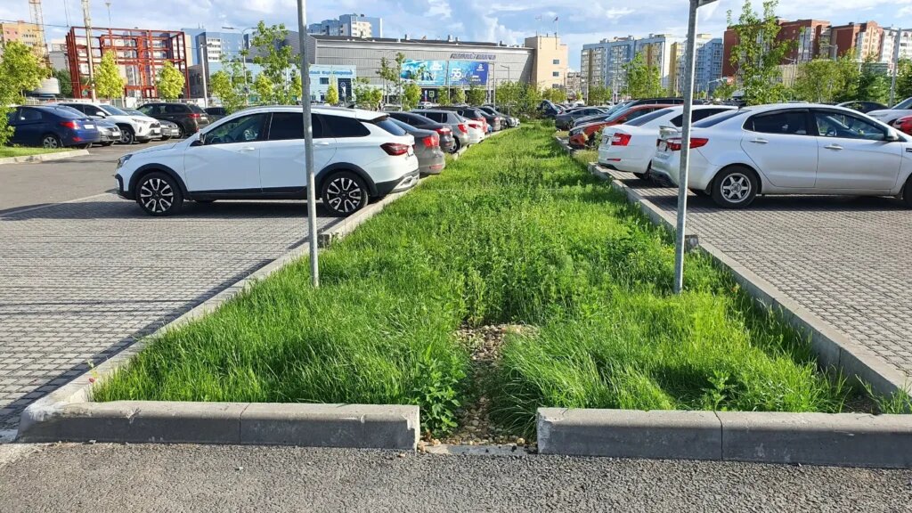 Парковка в парке "Серпантин" г. Череповец  📷
