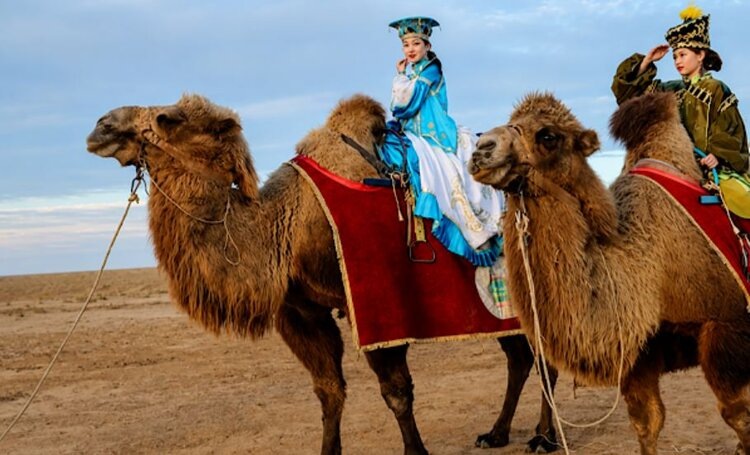    Фото: Правительство Республики Калмыкия