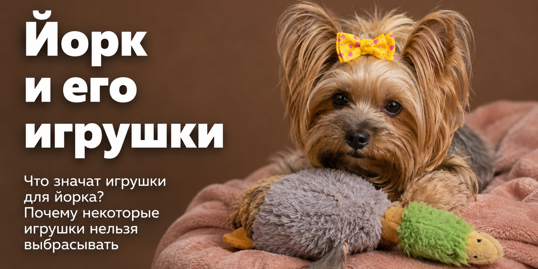Что значат игрушки для йорка? Почему некоторые игрушки нельзя выбрасывать