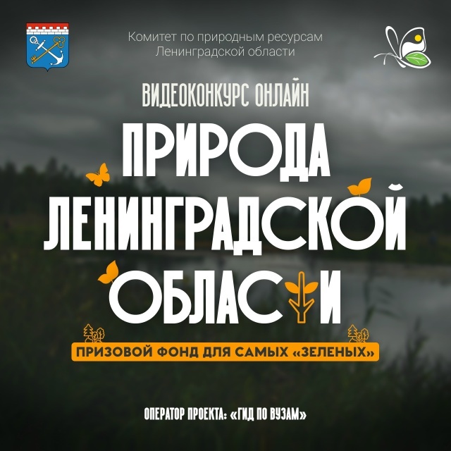 Экологическое мероприятие в рамках Года Команды Созидания, 2026. СМИ «Гид по вузам»