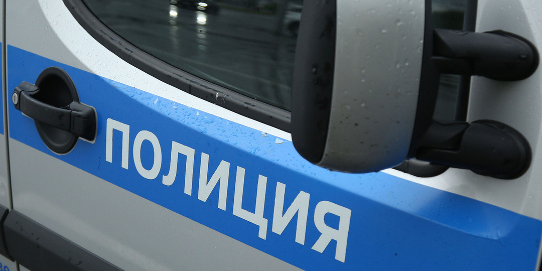 Тело убитой бабушки и её покалеченных внучек нашли в Тульской области