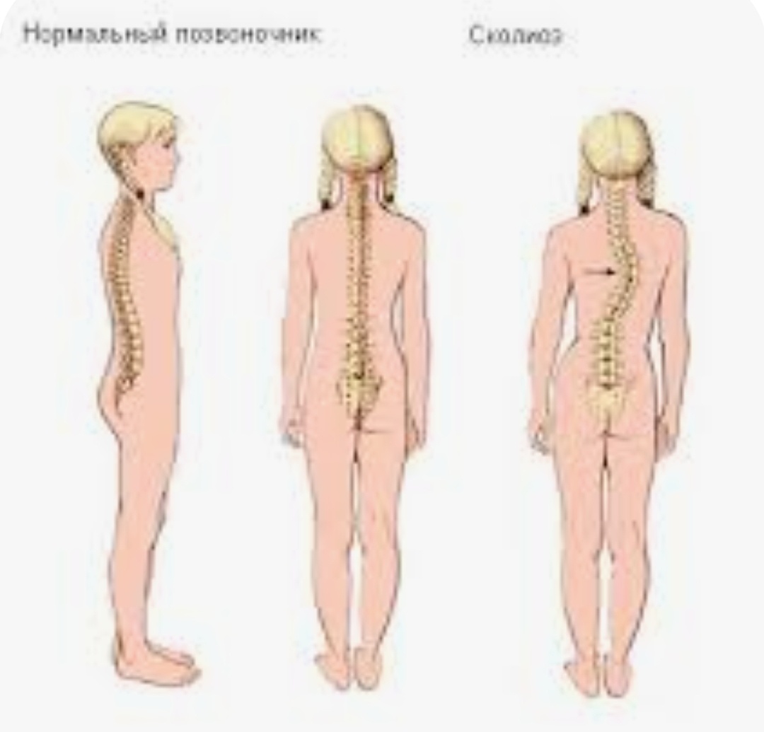 Фото из свободного доступа в интернет