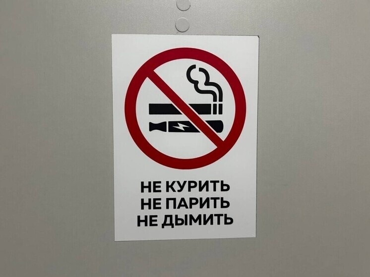     Фото: МК на Алтае/Оксана Исакова