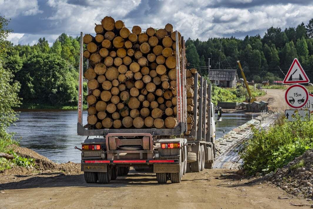 Фото: ИЗВЕСТИЯ/Константин Кокошкин
