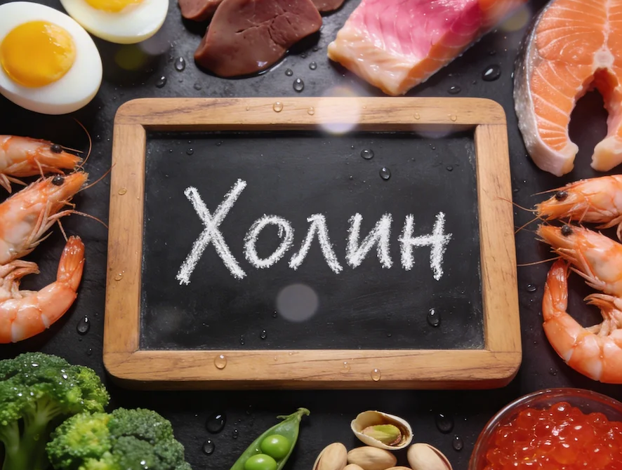 Источники холина (витамина B4)