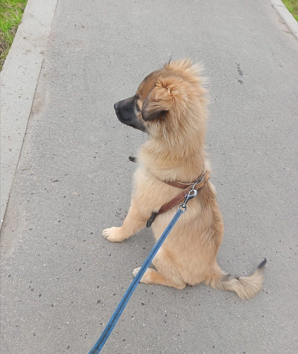 Вот такой малыш был
