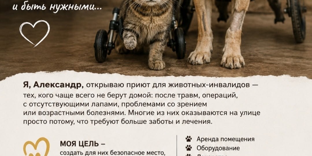 👉 Оставайтесь в курсе событий
