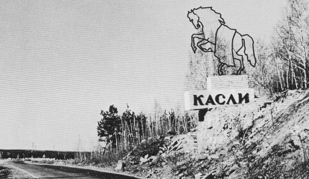 Так коняшка выглядел в моей юности