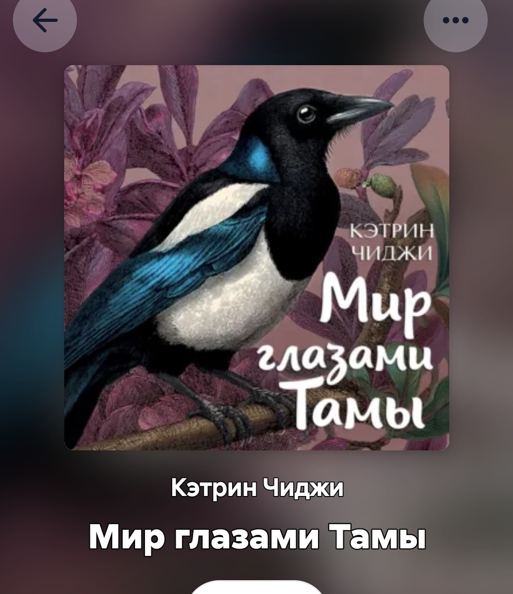 Сороку зовут Тама
