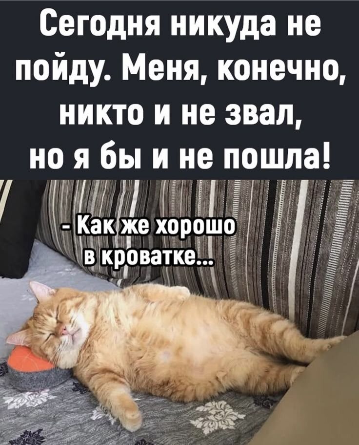 источник Яндекс-картинки