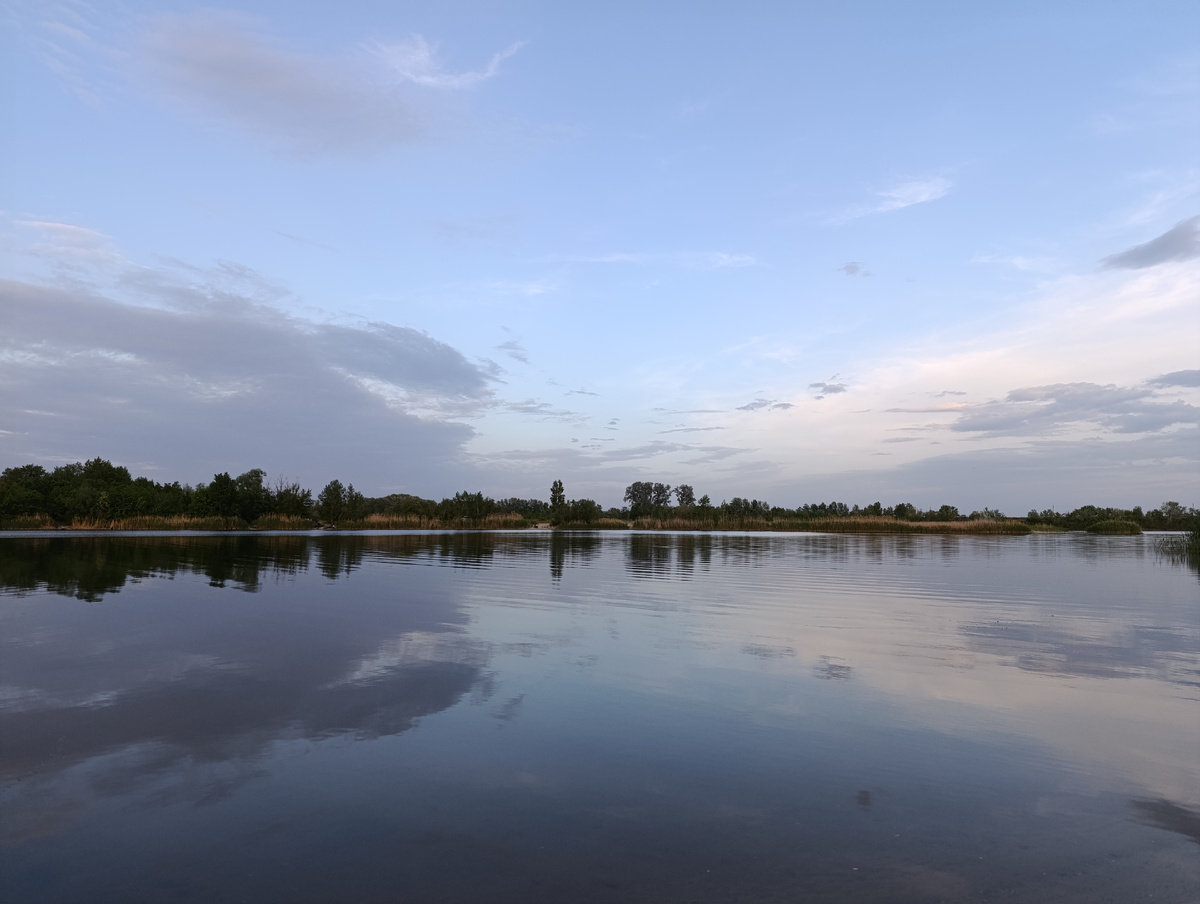 Фото автора канала Птичка Степная 