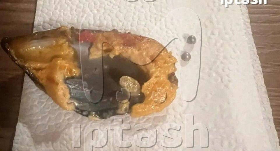    Mash Iptash