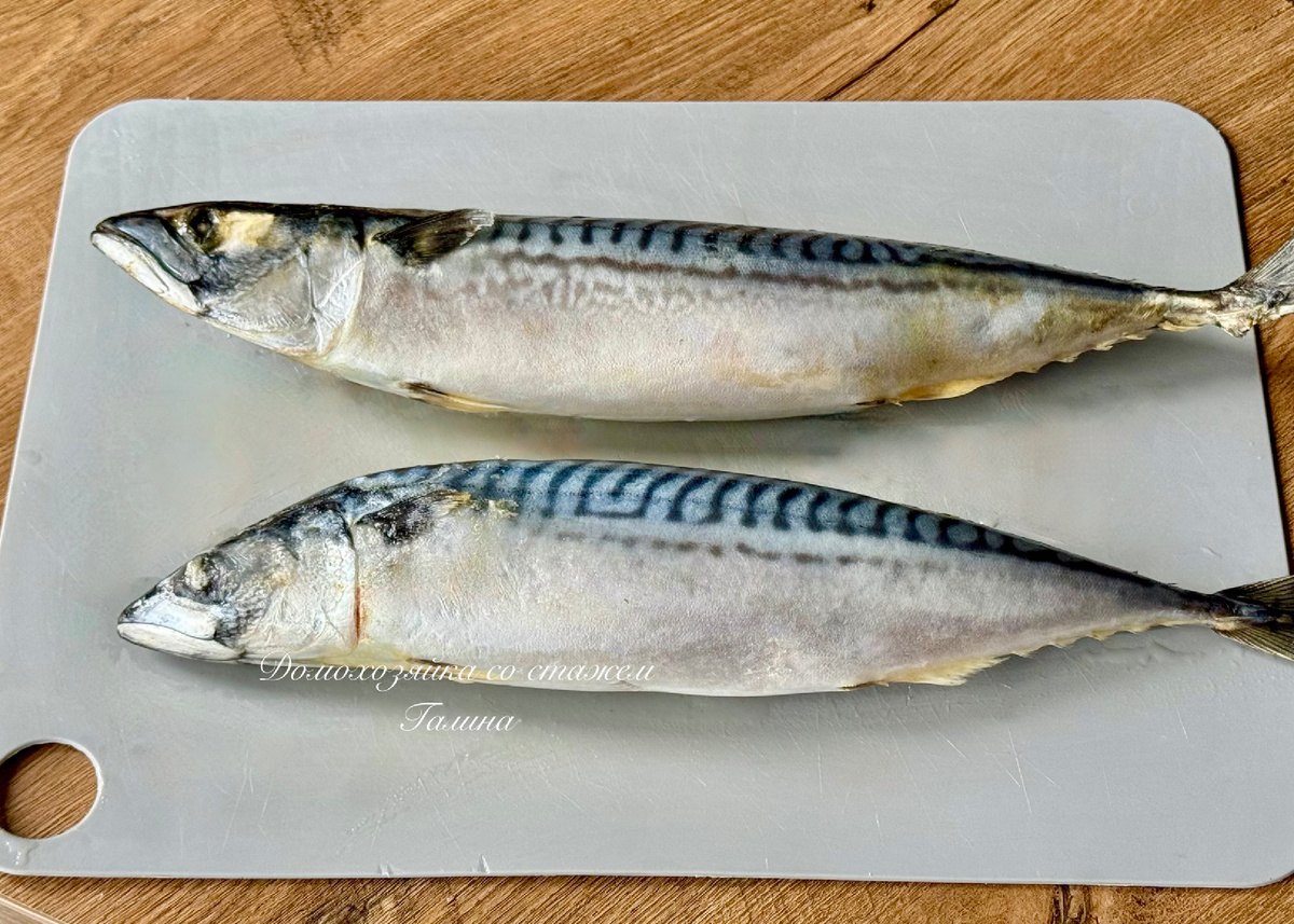 скумбрия
