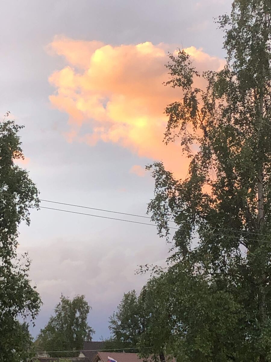 Закатное  небо вчера, фото автора статьи.