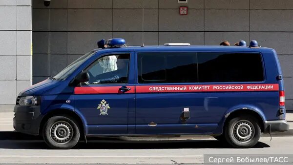    Источник: vz.ru/  Ксения