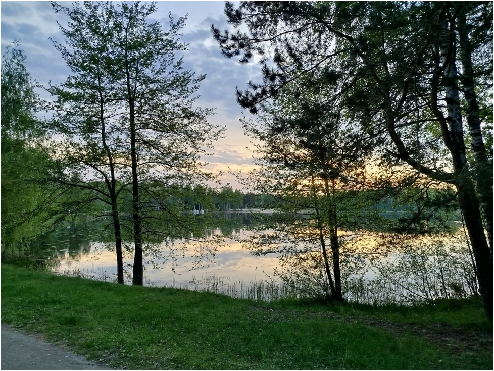 Фото автора