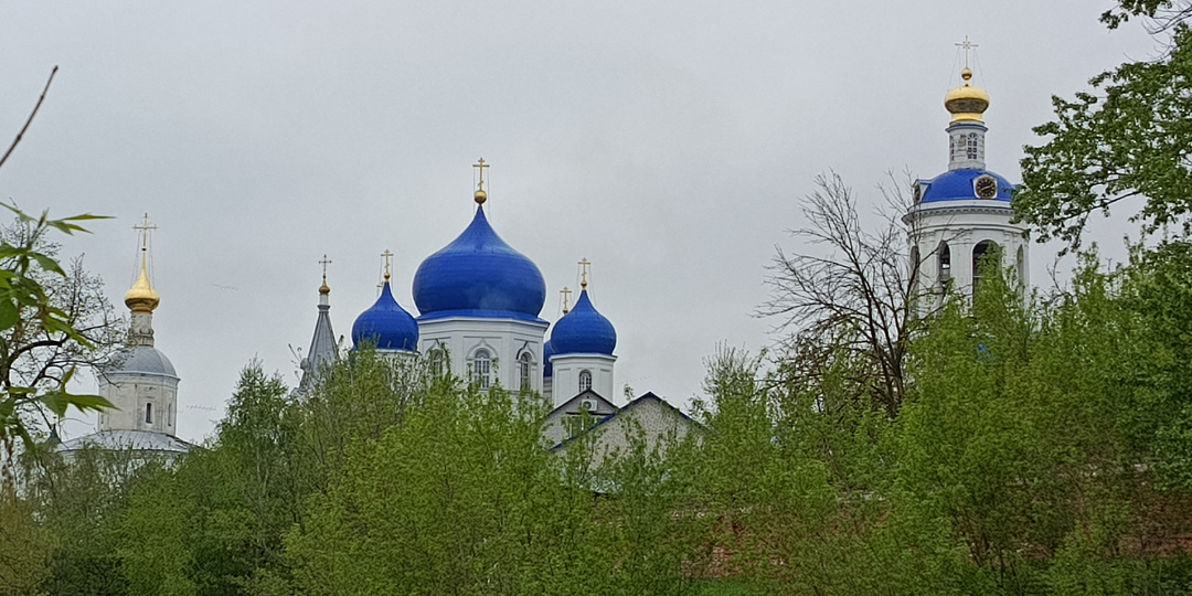 Посещение Свято-Боголюбского монастыря.