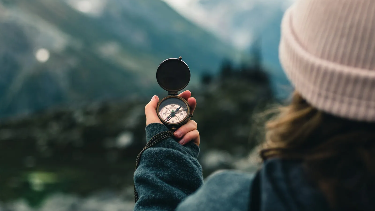 Изображение: pexels.com
