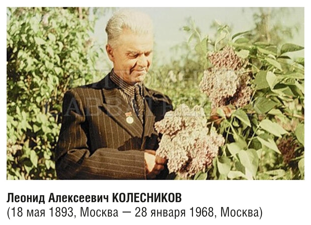 Колесников Л.А., фото с сайта www.drevo-spas.ru