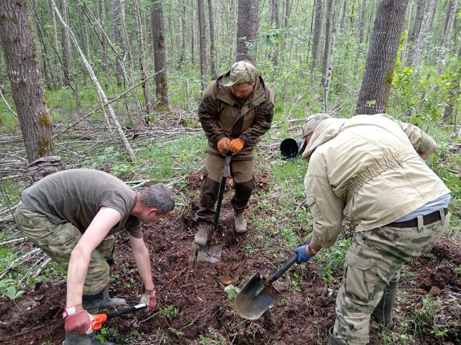 Поисковые работы в Жидиловом Бору
Фото: предоставили в поисковом отряде «Застава»