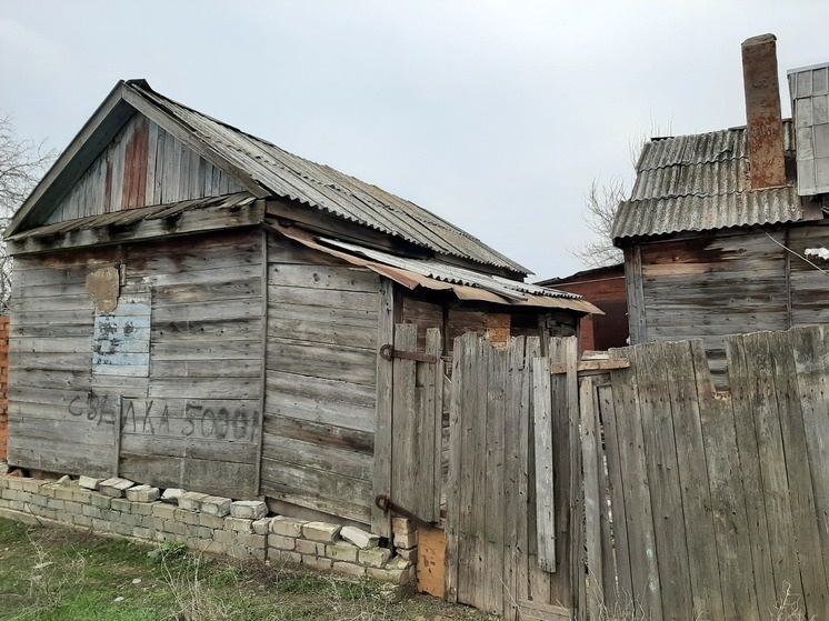     Фото: Евгений Кузнецов