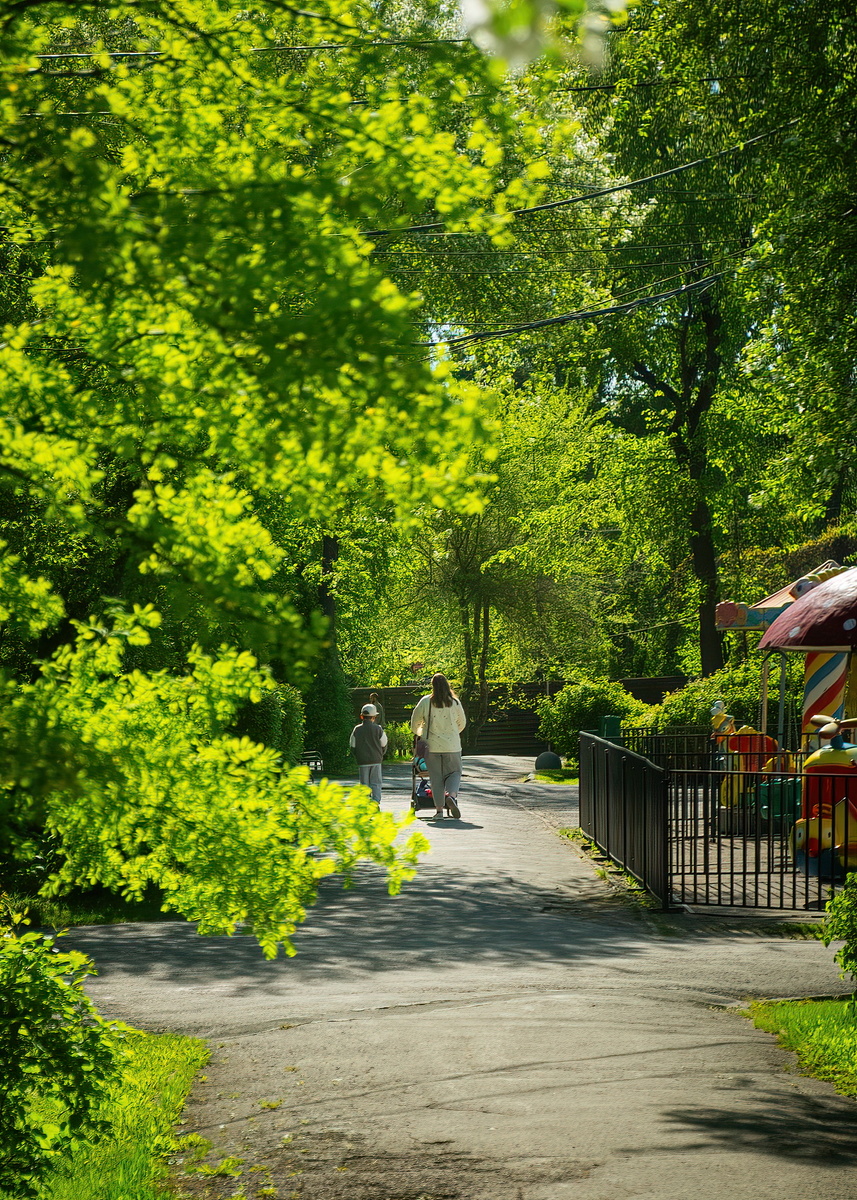 Весенний парк Кирова. Новосибирск. Фотография - www.openmainphoto.ru