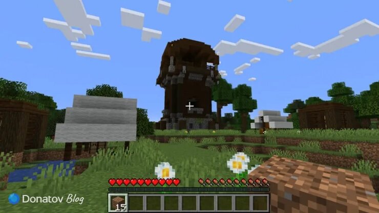    Minecraft Java Edition
