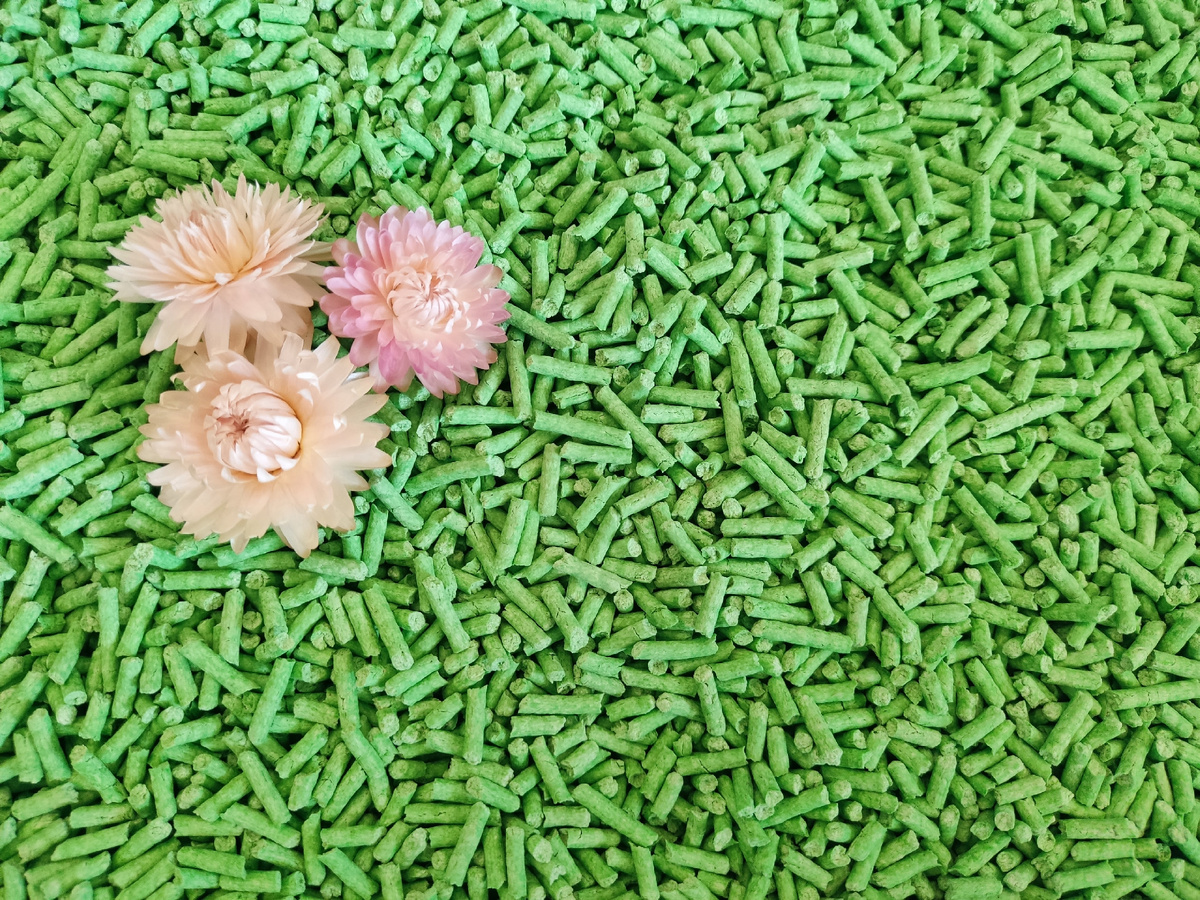 Начинаем испытания наполнителя CAT STEP Tofu Green Tea с ароматом зеленого чая