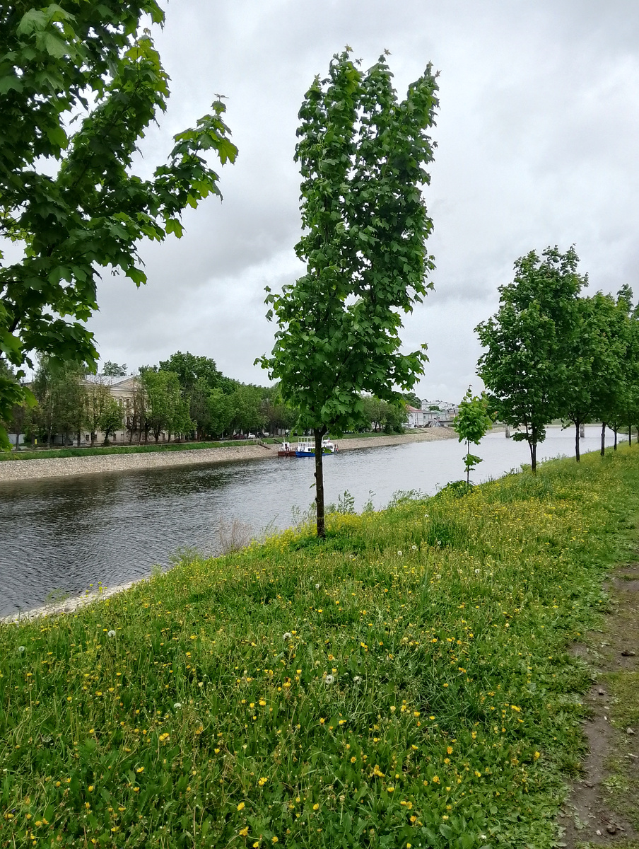 26.05.2026, фото автора 