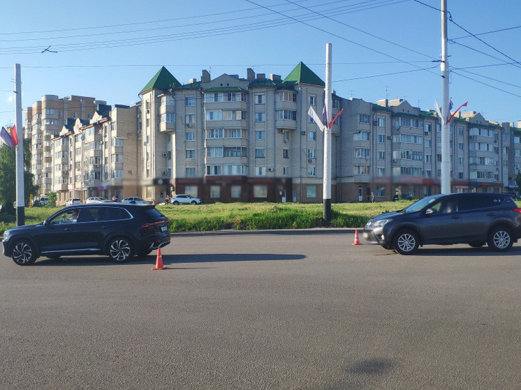     Госавтоинспекция Тамбовской области