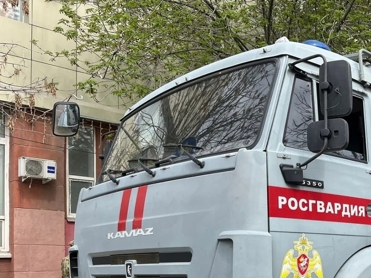     Фото: Сергей Климушев