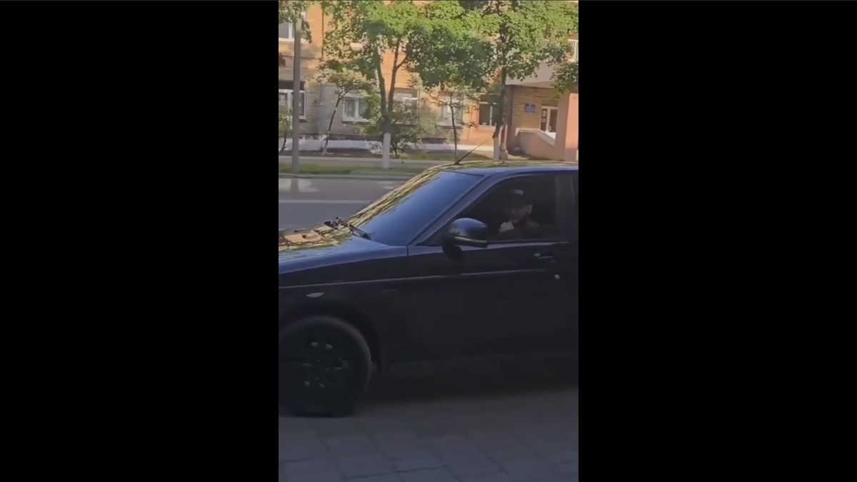 Скрин видео