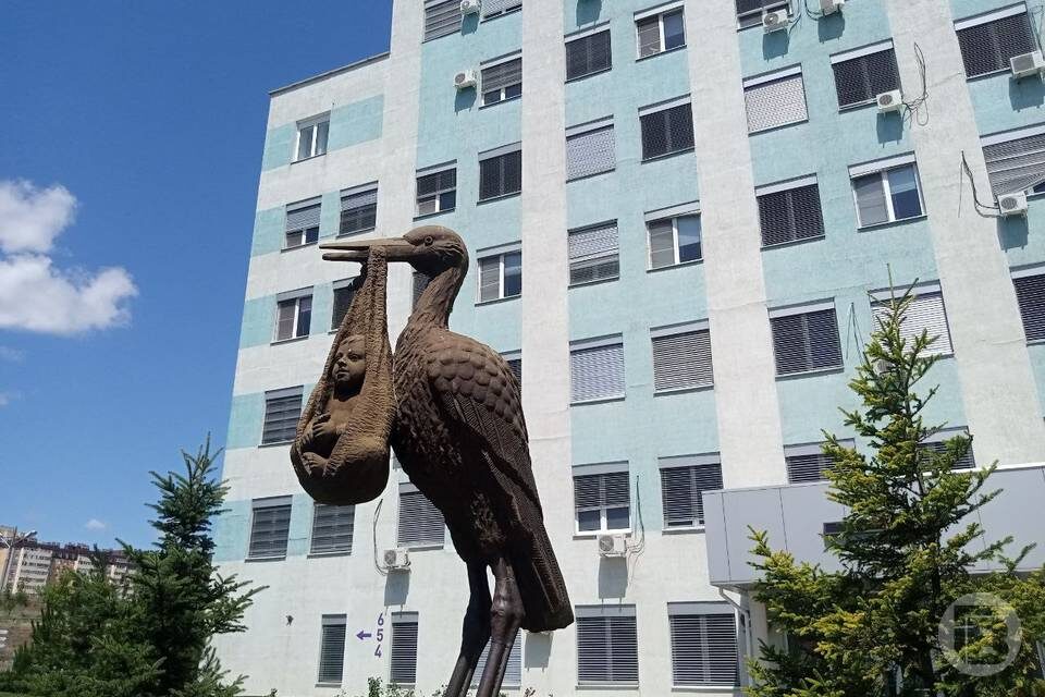   Фото: Елена Силантьева / "Городские вести"