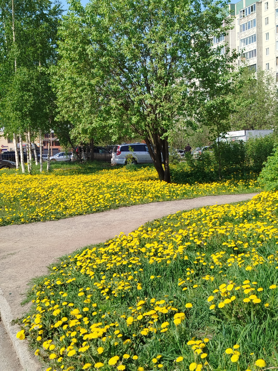 Фото автора.