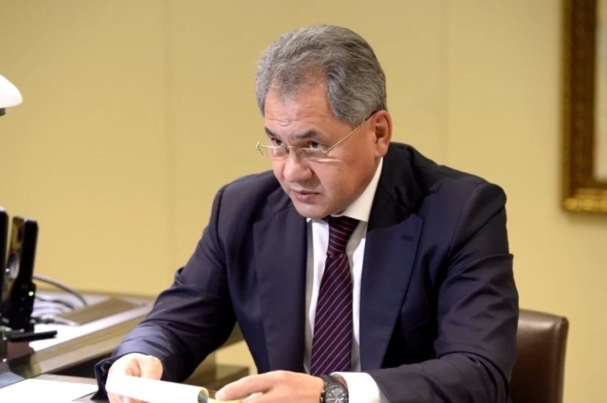    Шойгу заявил, что Европа впала в милитаристский угар